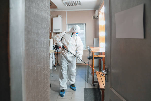 Professional Mold Removal in Key Center, WA