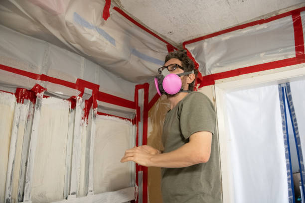  Key Center, WA Mold Removal Pros